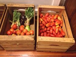 Cajas de fruta Frilar