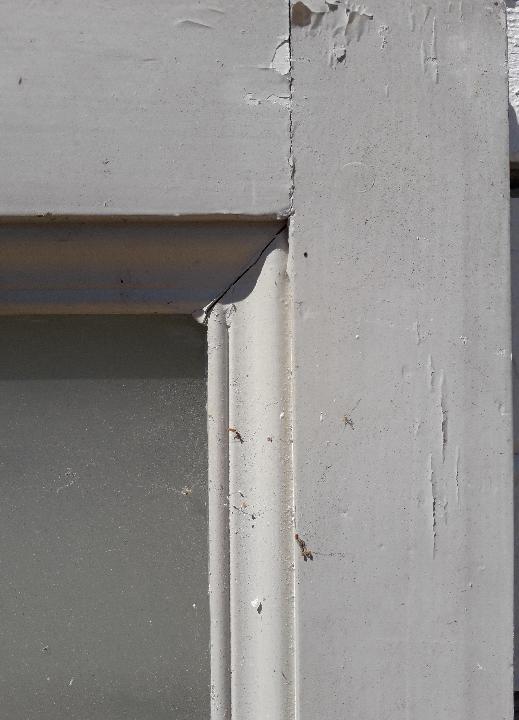 Hoja de ventana