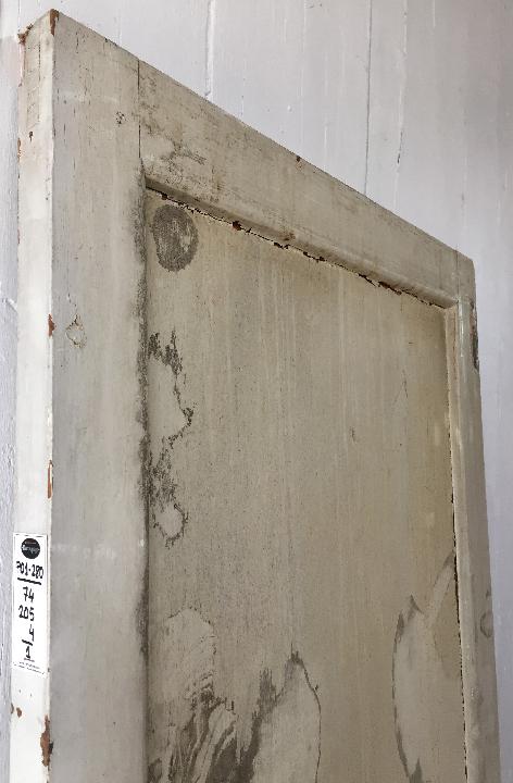 Puerta interior opaca