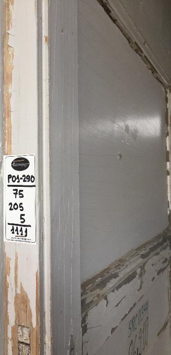 Puerta interior opaca 1111