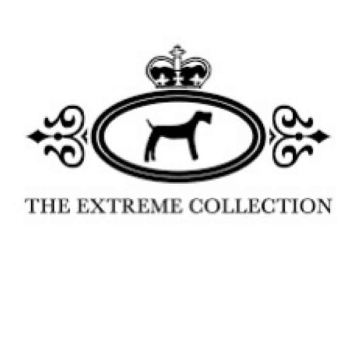 2014 Recoupage en la nueva tienda de The Extreme Collection 