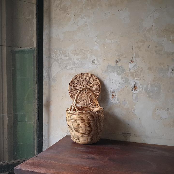 Cesta