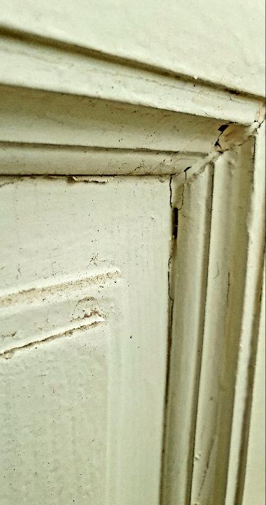 Puerta interior opaca