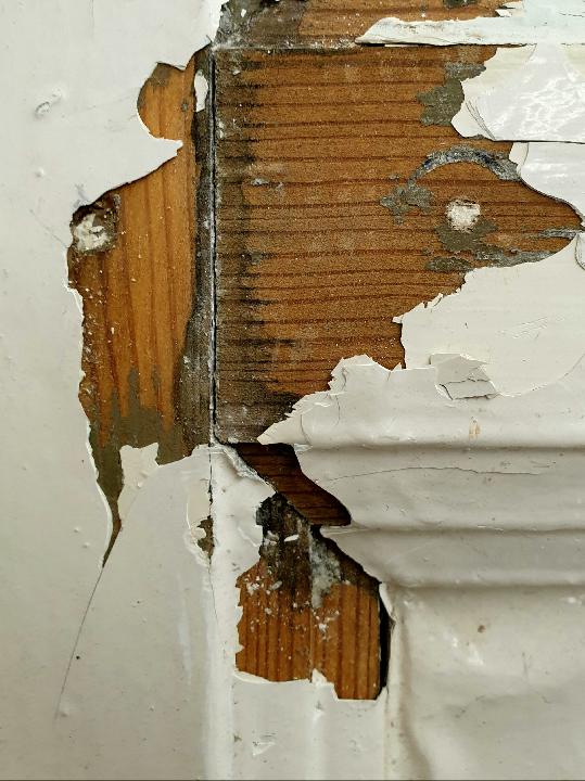 Puerta interior opaca 1111