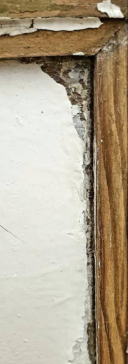 Puerta interior opaca 1111