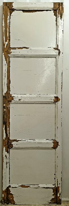 Puerta interior opaca 1111
