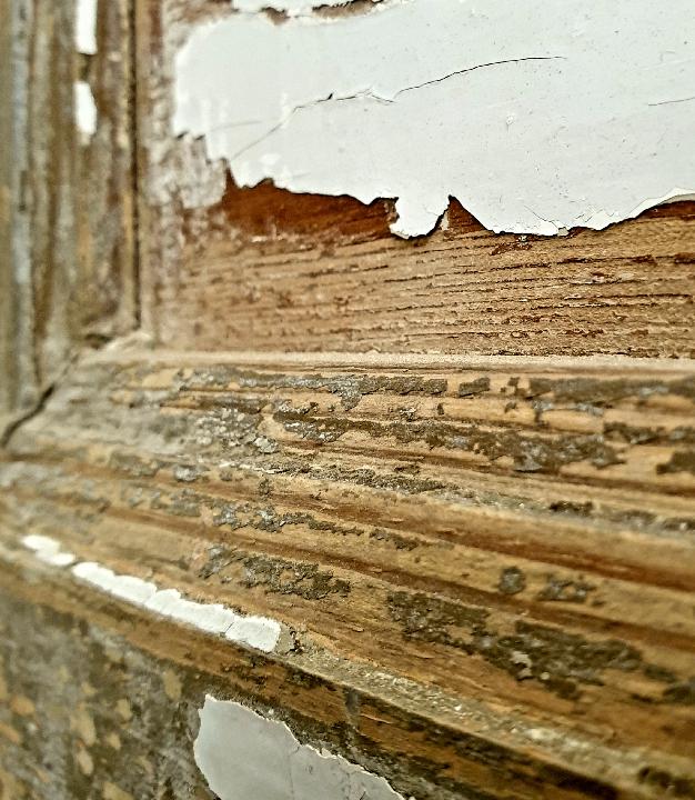 Puerta interior opaca 1111