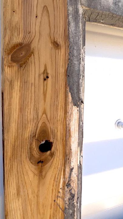 Puerta interior cristalera