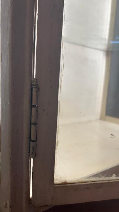 Vitrina médica Esculapio