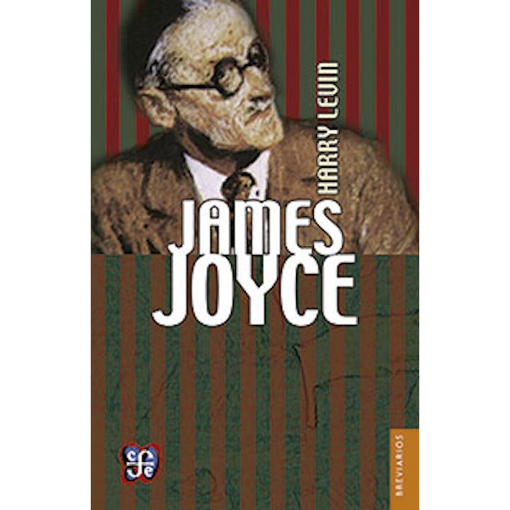 James Joyce : introducción crítica